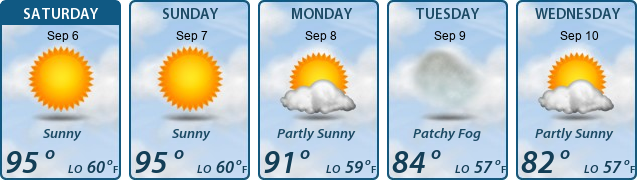 5-Day Forecast
